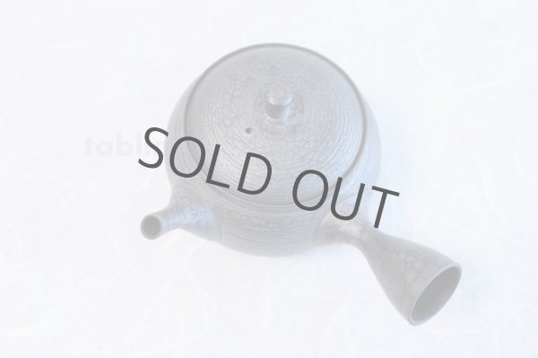 Photo4: Tokoname ware Japanese tea pot kyusu ceramic strainer YT Shoryu tenmoku 390ml (4)