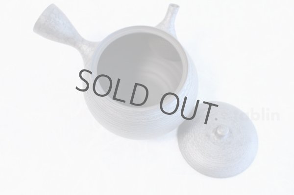 Photo5: Tokoname ware Japanese tea pot kyusu ceramic strainer YT Shoryu tenmoku 390ml (5)
