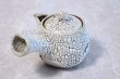 Photo2: Hagi yaki ware Japanese tea pot White kairagi Shoun kyusu pottery tea strainer  (2)