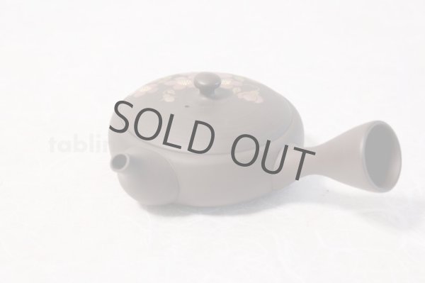 Photo8: Tokoname ware Japanese tea pot Gyokko ceramic tea strainer red flower flat 140ml (8)