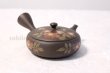 Photo5: Tokoname ware Japanese tea pot Gyokko ceramic tea strainer red flower flat 140ml (5)