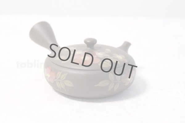 Photo5: Tokoname ware Japanese tea pot Gyokko ceramic tea strainer red flower flat 140ml (5)