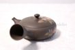 Photo6: Tokoname ware Japanese tea pot Gyokko ceramic tea strainer red flower flat 140ml (6)