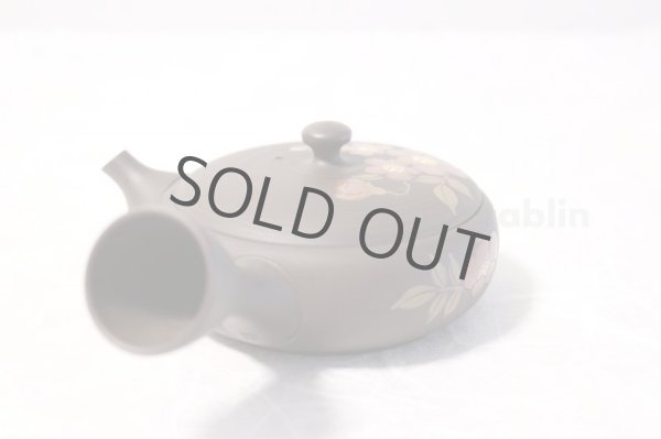 Photo6: Tokoname ware Japanese tea pot Gyokko ceramic tea strainer red flower flat 140ml (6)