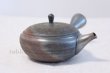 Photo3: Tokoname ware Japanese tea pot Gyokko ceramic tea strainer matsukawa flat 250ml (3)