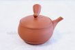 Photo4: Tokoname YT ware Japanese tea pot Gyokko ceramic tea strainer red syudei 300ml (4)