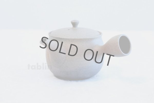 Photo2: Tokoname ware Japanese tea pot Gyokko ceramic tea strainer yakishime ko ma 250ml (2)