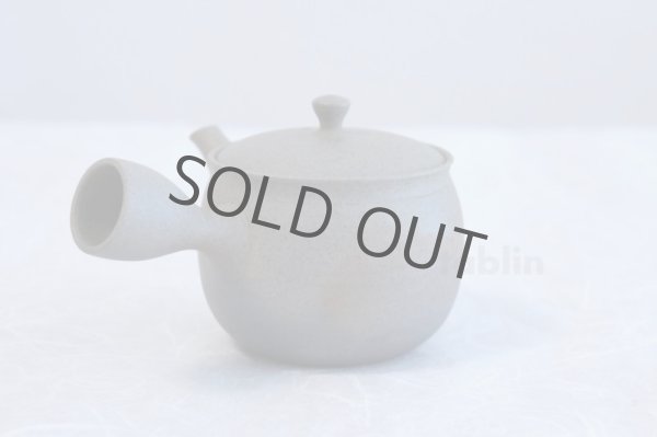 Photo3: Tokoname ware Japanese tea pot Gyokko ceramic tea strainer yakishime ko ma 250ml (3)