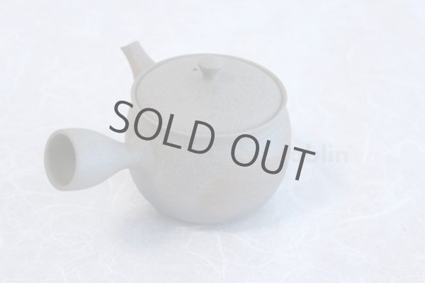 Photo4: Tokoname ware Japanese tea pot Gyokko ceramic tea strainer yakishime ko ma 250ml (4)