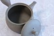 Photo5: Tokoname ware Japanese tea pot Gyokko ceramic tea strainer yakishime ko ma 250ml (5)