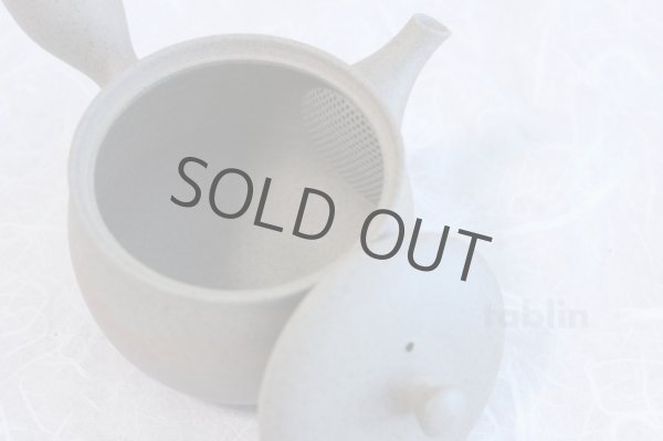 Photo5: Tokoname ware Japanese tea pot Gyokko ceramic tea strainer yakishime ko ma 250ml (5)
