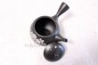 Photo5: Tokoname ware Japanese tea pot kyusu ceramic strainer YT Hokuryu sakura 300ml (5)