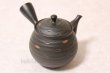 Photo1: Tokoname ware Japanese tea pot kyusu ceramic strainer YT Hokuryu sendan 340ml (1)