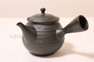 Photo2: Tokoname ware Japanese tea pot kyusu ceramic strainer YT Hokuryu sendan 340ml