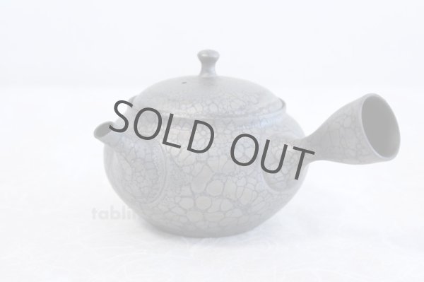 Photo2: Tokoname ware Japanese tea pot kyusu ceramic strainer YT Shoryu tenmoku 310ml (2)