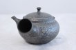 Photo3: Tokoname ware Japanese tea pot kyusu ceramic strainer YT Shoryu tenmoku 310ml (3)