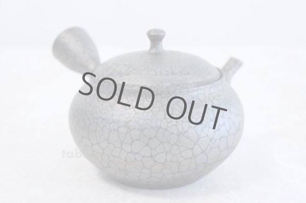 Photo4: Tokoname ware Japanese tea pot kyusu ceramic strainer YT Shoryu tenmoku 310ml (4)