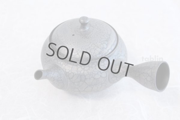 Photo5: Tokoname ware Japanese tea pot kyusu ceramic strainer YT Shoryu tenmoku 310ml (5)