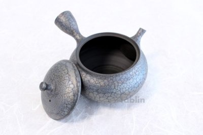 Photo2: Tokoname ware Japanese tea pot kyusu ceramic strainer YT Shoryu tenmoku 310ml