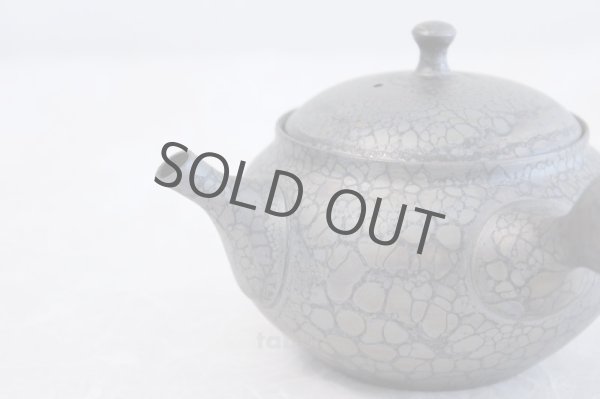 Photo1: Tokoname ware Japanese tea pot kyusu ceramic strainer YT Shoryu tenmoku 310ml (1)