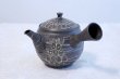 Photo2: Tokoname ware Japanese tea pot kyusu ceramic strainer YT Kenji amime miga 380ml (2)
