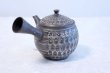 Photo3: Tokoname ware Japanese tea pot kyusu ceramic strainer YT Kenji amime miga 380ml (3)