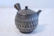 Photo4: Tokoname ware Japanese tea pot kyusu ceramic strainer YT Kenji amime miga 380ml (4)