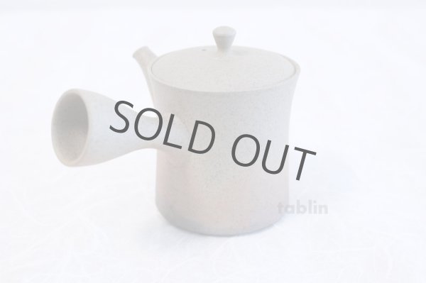 Photo4: Tokoname ware Japanese tea pot Gyokko ceramic tea strainer yakishime st 230ml (4)