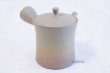 Photo5: Tokoname ware Japanese tea pot Gyokko ceramic tea strainer yakishime st 230ml (5)