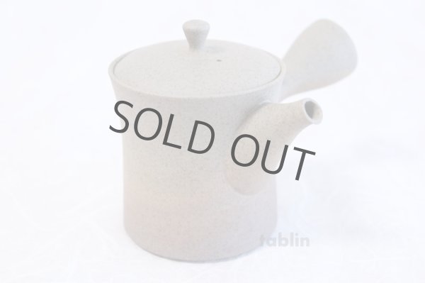 Photo6: Tokoname ware Japanese tea pot Gyokko ceramic tea strainer yakishime st 230ml (6)