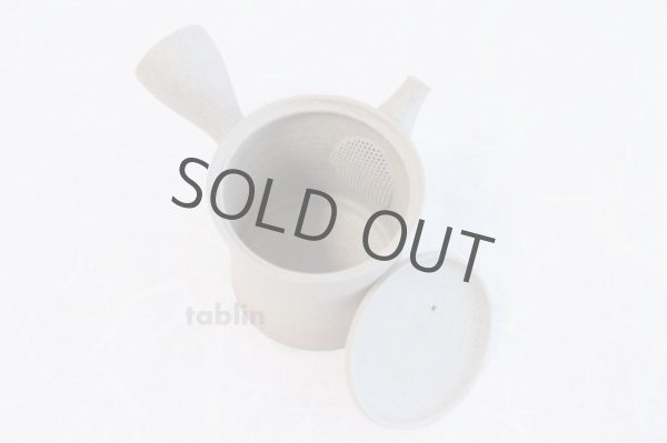 Photo8: Tokoname ware Japanese tea pot Gyokko ceramic tea strainer yakishime st 230ml (8)