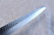 Photo3: SAKAI TAKAYUKI Japanese knife 33-layer Damascus core VG-10 Kiritsuke hammered Kengata sashimi 270mm (3)
