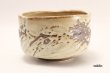 Photo2: Mino ware tea bowl Shirahagi Tataki chawan Matcha Green Tea Japan (2)