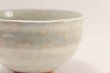 Photo3: Tokoname ware tea bowl Kobiki Hakunagashi chawan Matcha Green Tea Japanese (3)