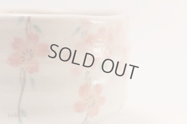 Photo5: Tokoname ware tea bowl Shidare Sakura chawan Matcha Green Tea Japanese (5)