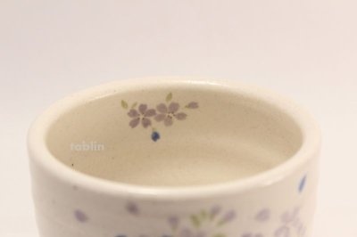 Photo1: Tokoname ware tea bowl Ao Sakura chawan Matcha Green Tea Japanese