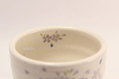 Photo1: Tokoname ware tea bowl Ao Sakura chawan Matcha Green Tea Japanese