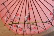 Photo2: Japanese umbrella bull's-eye Bangasa Wagasa bamboo sd sakura cherry (2)