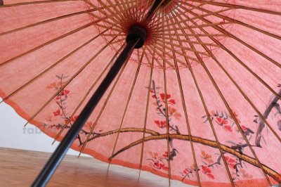 Photo1: Japanese umbrella bull's-eye Bangasa Wagasa bamboo sd sakura cherry
