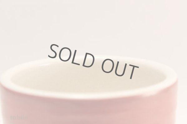 Photo4: Mino yaki ware Japanese tea bowl Noten akamaki yu chawan Matcha Green Tea (4)