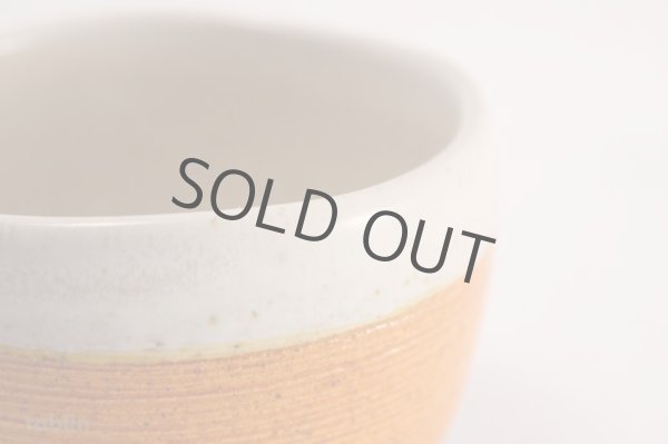 Photo4: Mino yaki ware Japanese tea bowl Kohaku sendan chawan Matcha Green Tea (4)