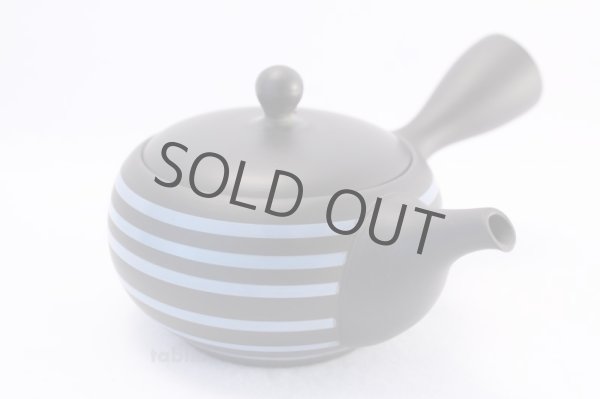Photo2: Tokoname yaki ware Japanese tea pot Tosei ceramic tea strainer blue line 250ml (2)
