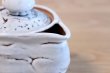 Photo4: Hagi yaki ware Japanese tea pot White Keizo wa kyusu pottery tea strainer 400ml (4)