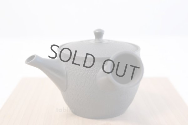 Photo2: Tokoname yaki ware Japanese tea pot Gyokko ceramic tea strainear 150ml (2)