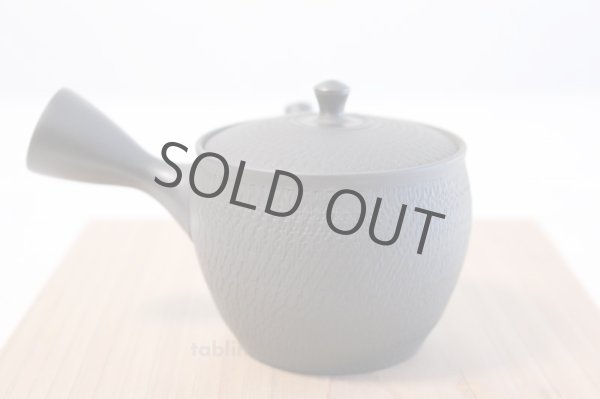 Photo3: Tokoname yaki ware Japanese tea pot Gyokko ceramic tea strainear 150ml (3)