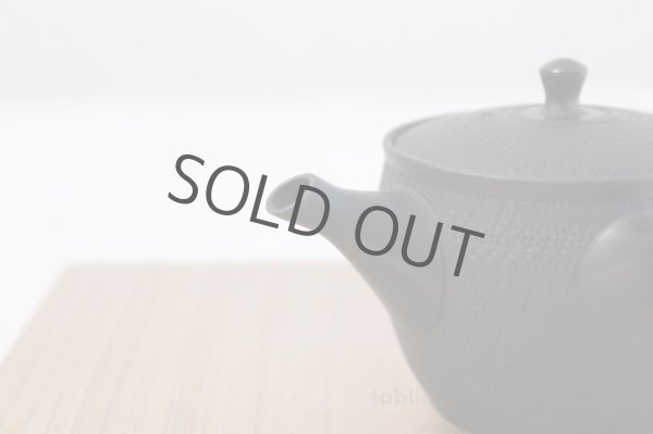 Photo4: Tokoname yaki ware Japanese tea pot Gyokko ceramic tea strainear 150ml (4)