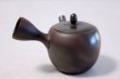 Photo3: Tokoname yaki ware Japanese tea pot Gyokko hai ceramic tea strainear 100ml (3)