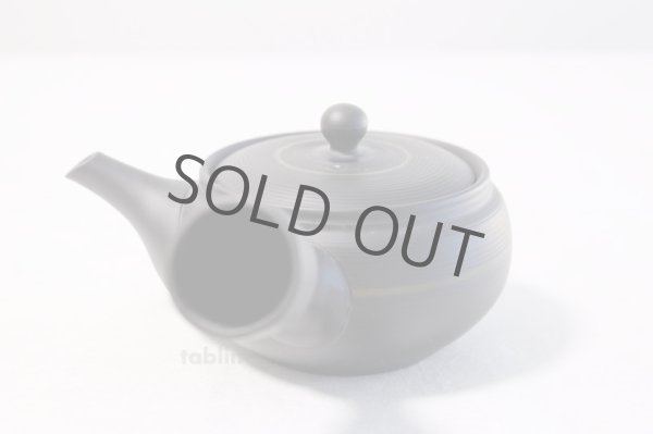 Photo2: Tokoname yaki ware Japanese tea pot Tosei maru ceramic tea strainer 210ml (2)