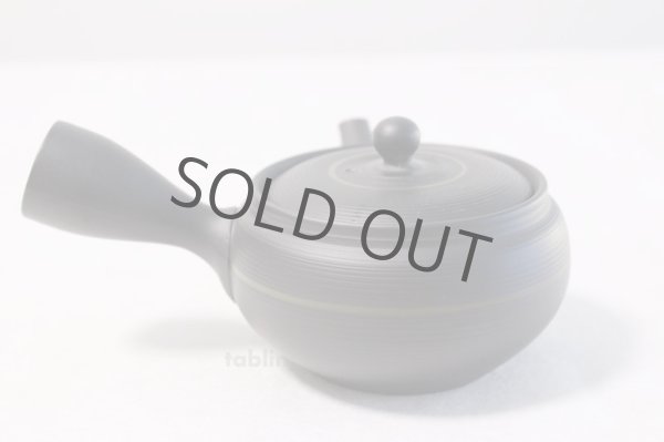 Photo3: Tokoname yaki ware Japanese tea pot Tosei maru ceramic tea strainer 210ml (3)