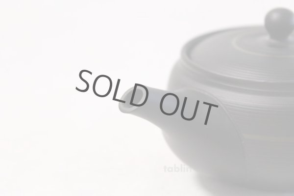 Photo4: Tokoname yaki ware Japanese tea pot Tosei maru ceramic tea strainer 210ml (4)